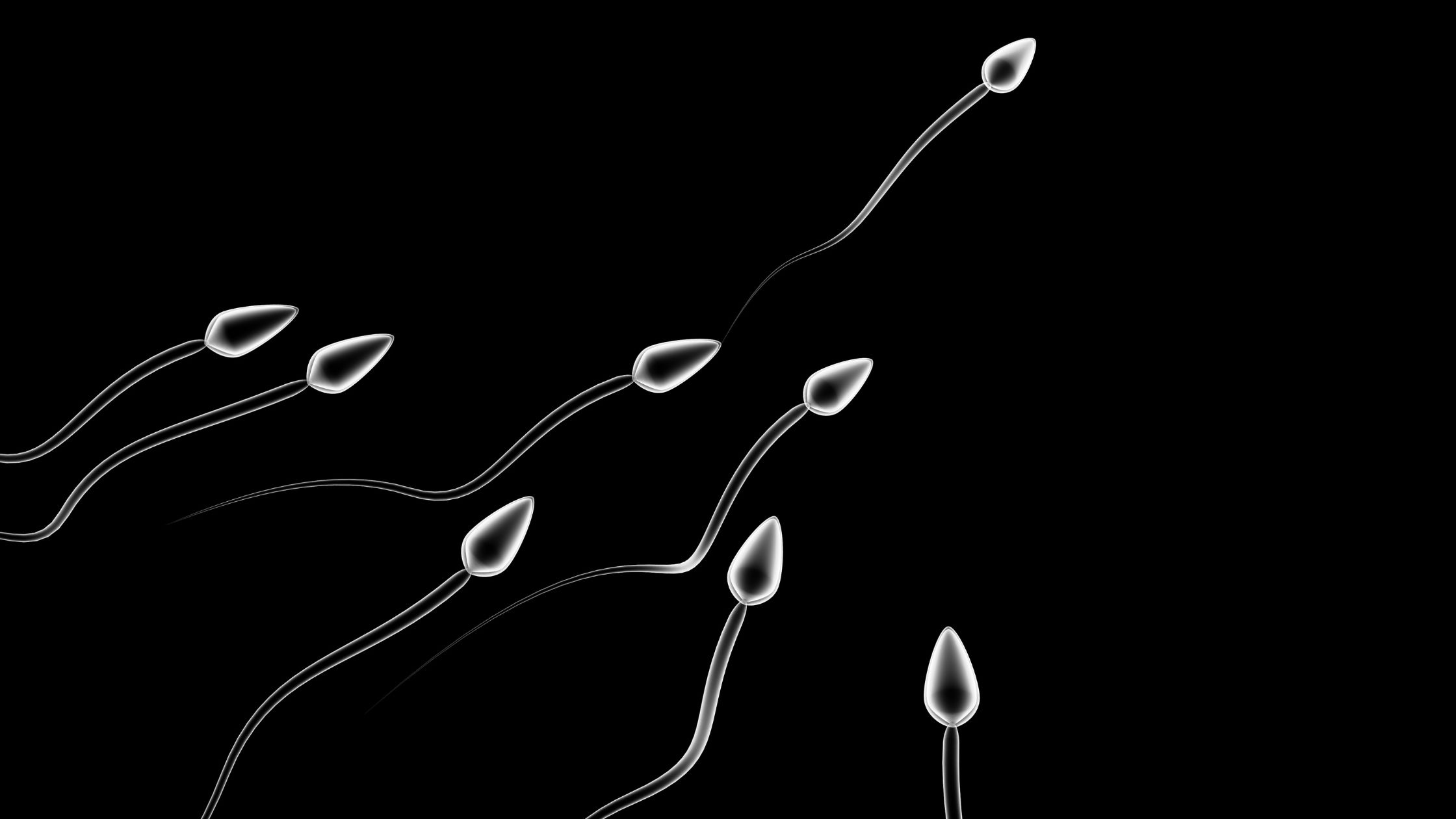 nasienie sperma